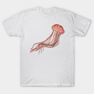 Jellyfish Sketch T-Shirt